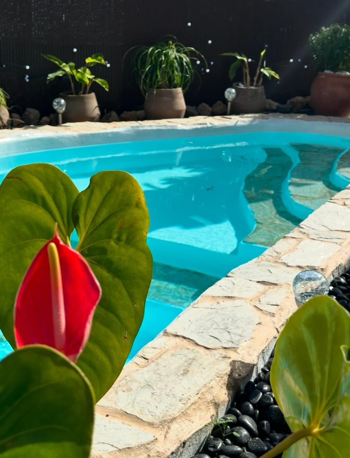 Krisant Gold Rural Luxury Privat Pool Villa Santa Cruz de Tenerife Kültér fotó